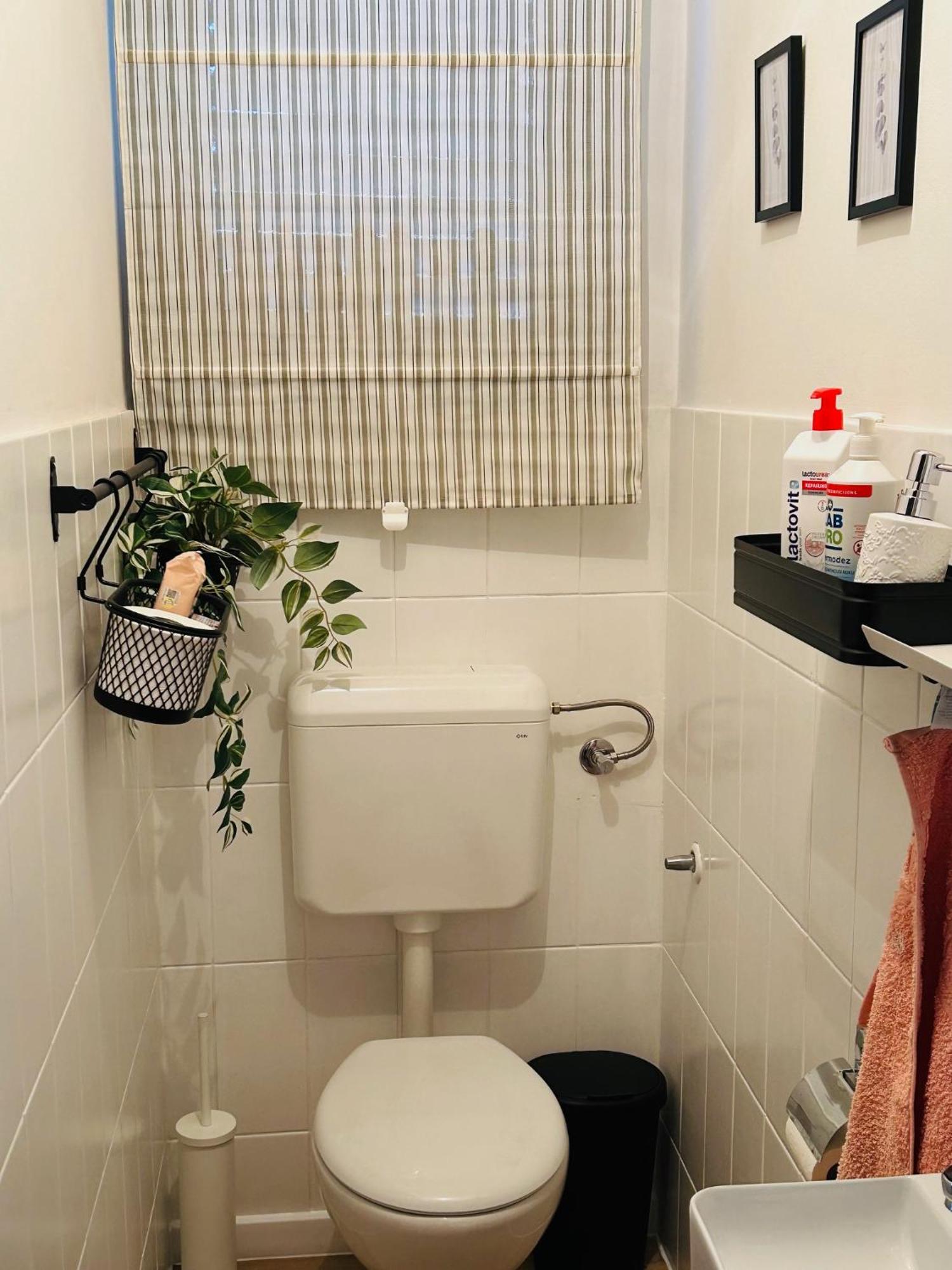Starlight House Lejlighed Bjelovar Eksteriør billede